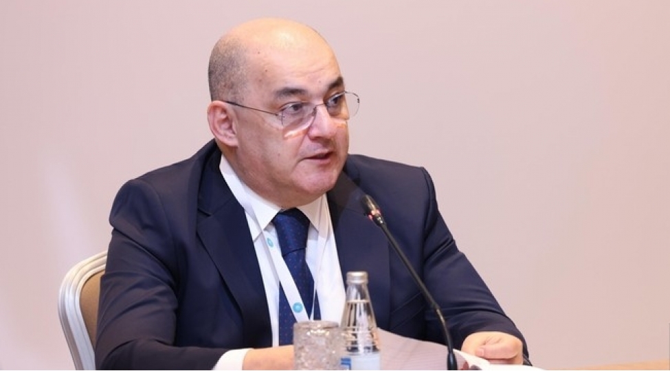tdt-ye-uzv-olkelerin-gomruk-sahesinde-hedefleri-achiqlanib