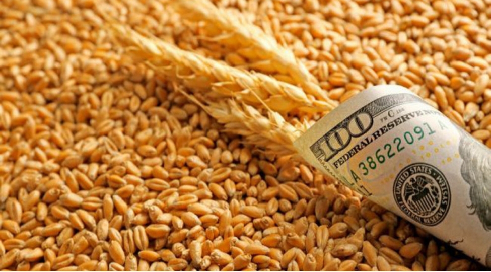 oten-il-azerbaycana-13-mln-tona-yaxin-bugda-idxal-edilib
