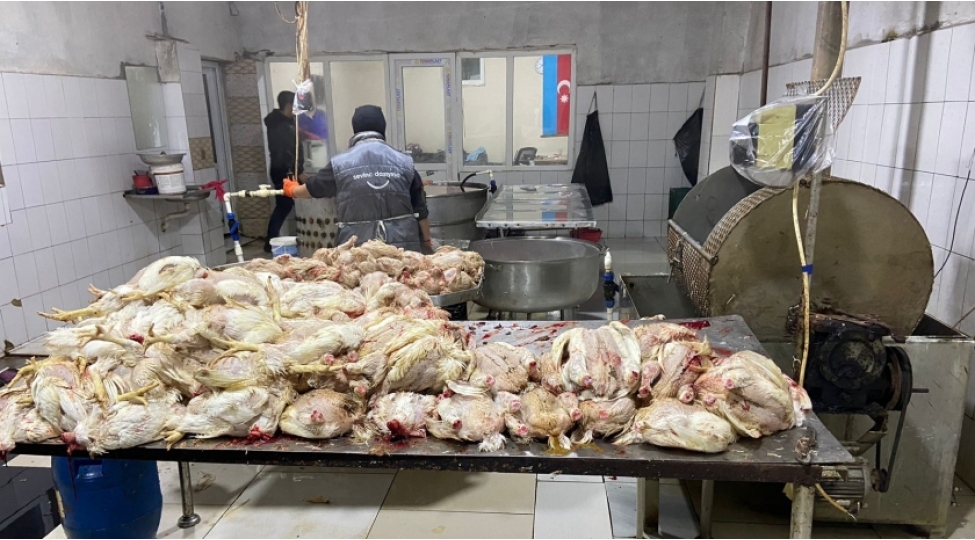 sabunchuda-ev-qushlarinin-kesimi-menteqesinin-fealiyyeti-mehdudlashdirilib