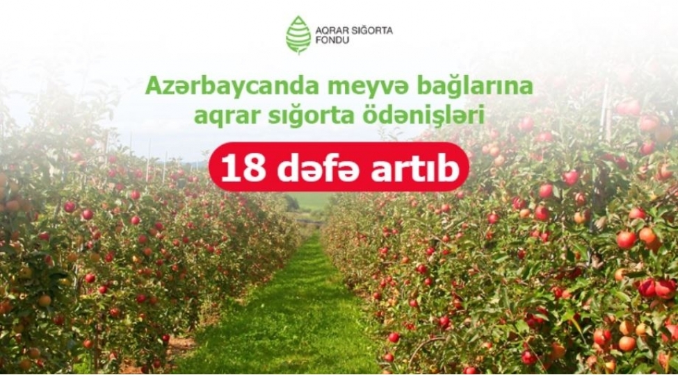 azerbaycanda-mehsul-baglarina-aqrar-sigorta-odenishleri-18-defe-artib