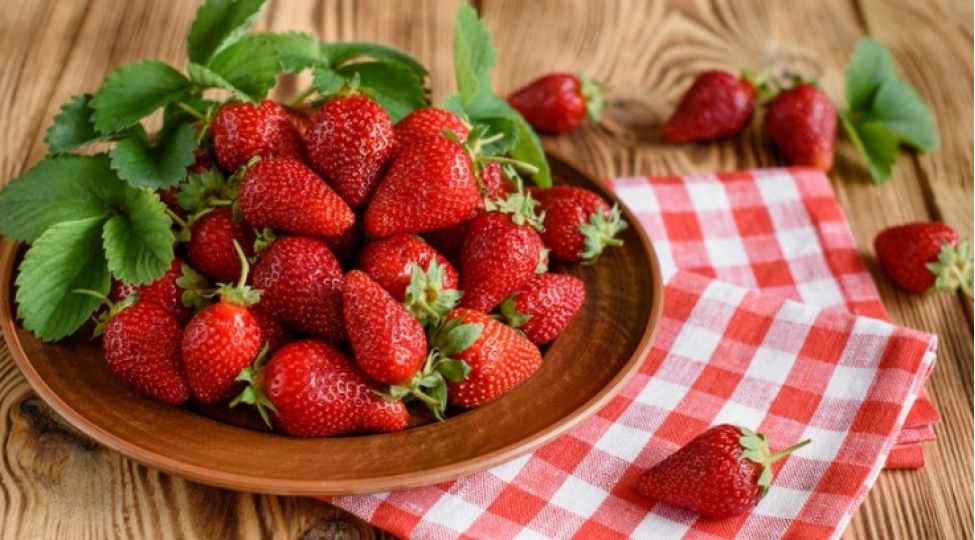 bu-il-chiyelek-ekinlerinin-aqrar-sigortalanmasina-bashlanilib