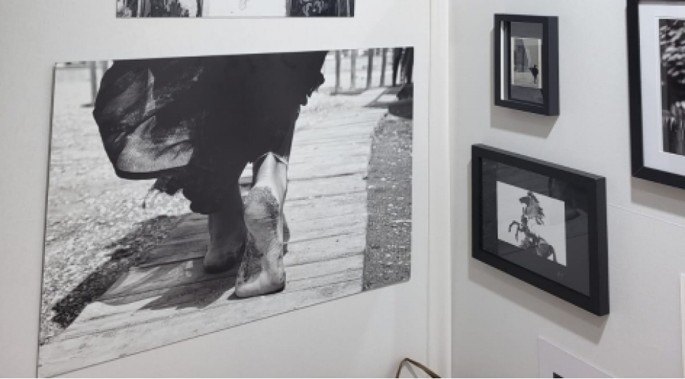 parisde-azerbaycanli-fotoqraf-ve-ressamlarin-eserleri-numayish-olunur