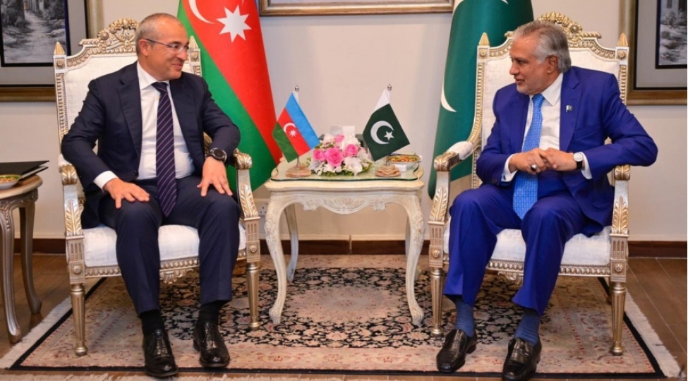 mikayil-cabbarov-pakistanin-bash-nazirinin-muavini-mehemmed-ishaq-dar-ile-gorushub