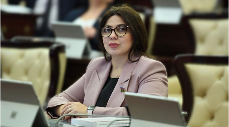 deputat-ermenistan-prezident-ilham-eliyevin-fikirlerinden-netice-chixarmali-emeli-addimlar-atmalidir