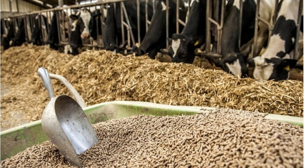 yem-elavelerine-dair-sanitariya-norma-ve-qaydalar-tesdiqlenib