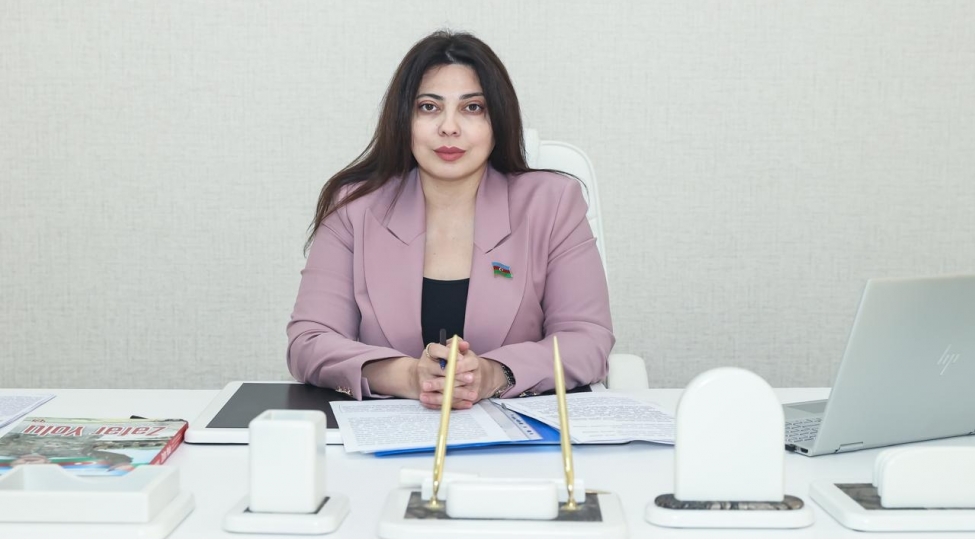 deputat-turk-pa-nin-mudafie-ve-tehlukesizlik-strategiyasi-hazirlanmalidir