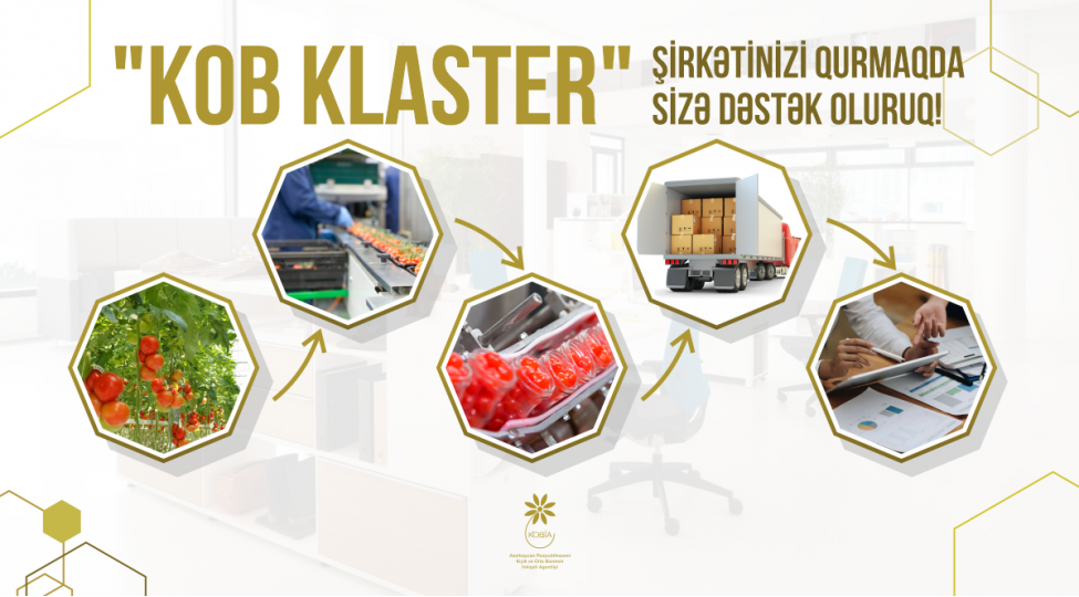 klasterleshme-teshebbusu-olan-sahibkarlarin-nezerine