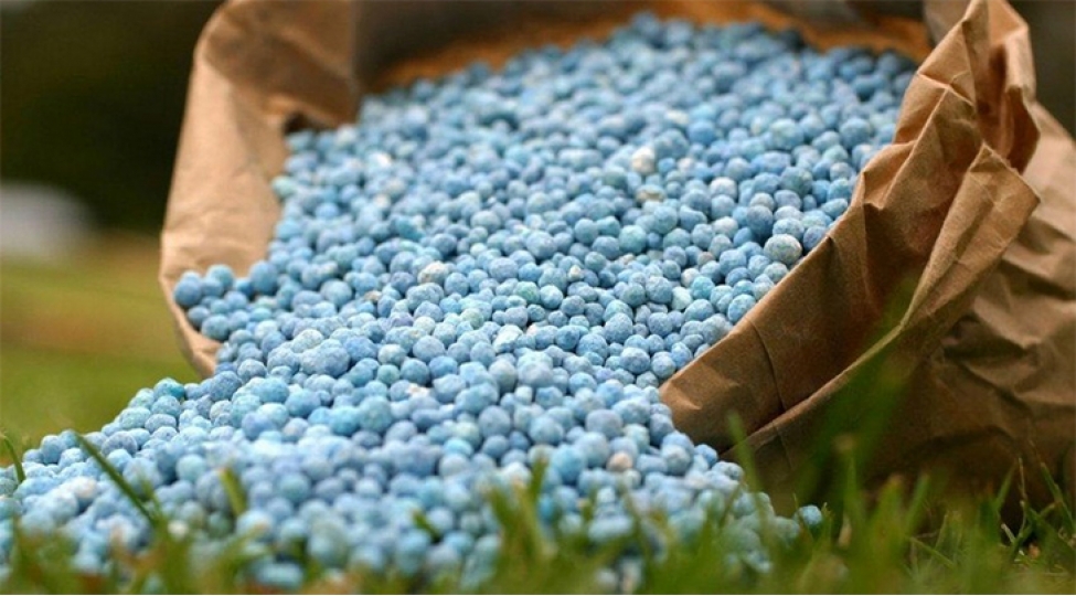 azerbaycan-gubre-ixracindan-qazancini-50-e-yaxin-artirib