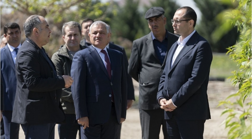 mecnun-memmedov-terter-ve-berdede-teserrufatlarin-fealiyyeti-ile-tanish-olub