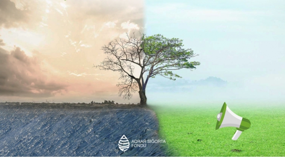 hava-sheraiti-ile-elaqedar-teserrufatlara-zerer-deymesi-barede-76-muraciet-daxil-olub