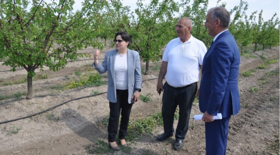 ilhame-qedimova-saatlida-vetendashlari-qebul-edib-fermerlerle-gorushub