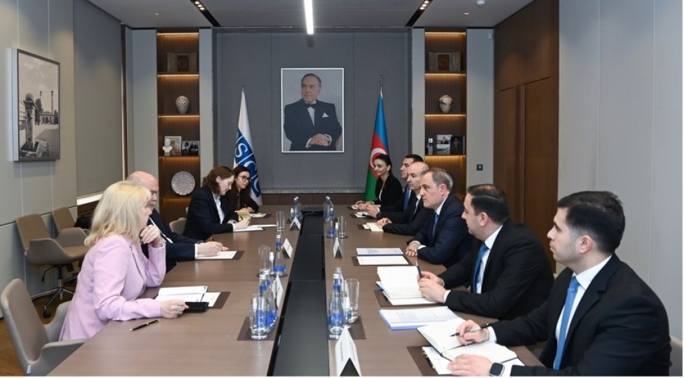 ceyhun-bayramovla-feridun-sinirlioglu-arasinda-genishterkibli-gorush-olub-yenilenib