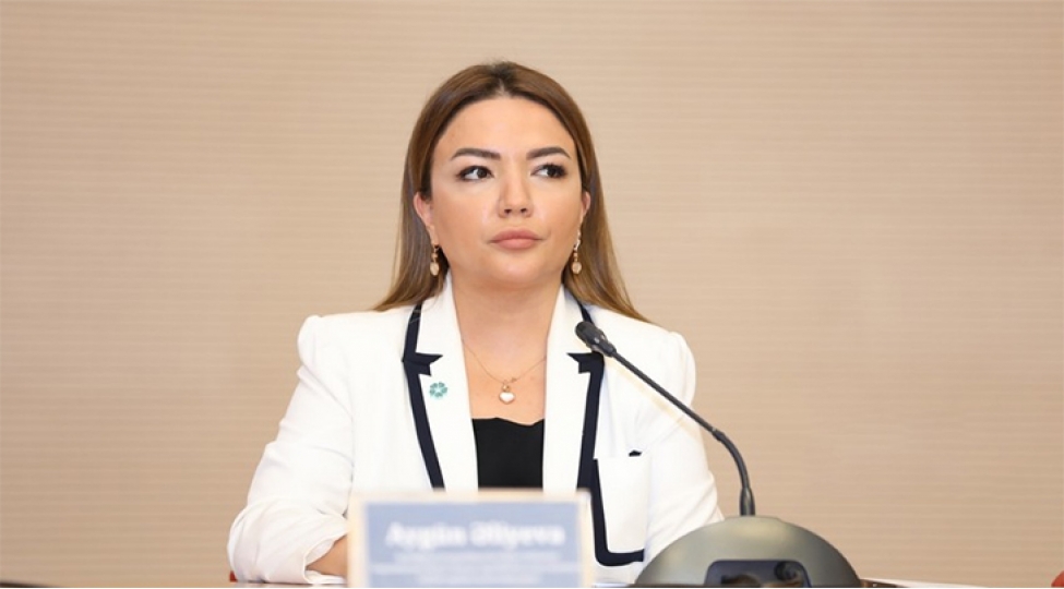 aygun-eliyeva-azerbaycan-qlobal-cenub-ve-qlobal-shimal-arasinda-elaqelendirici-rolunu-guclendirmeye-chalishir