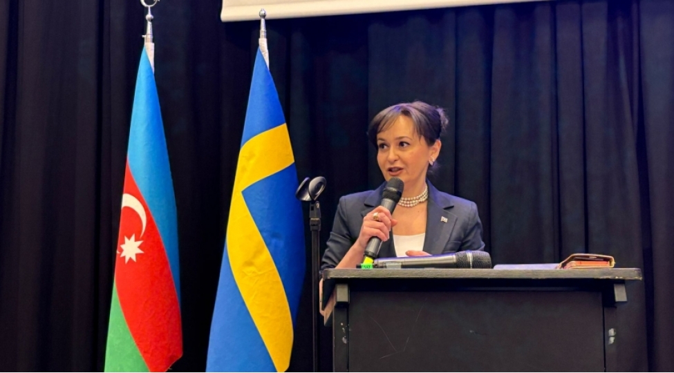 stokholmda-skandinaviya-azerbaycanlilari-koordinasiya-shurasinin-iclasi-kechirilibvideo