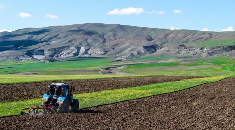 azerbaycanda-dovlet-xetti-ile-aqrar-sigorta-odenishi-15-milyon-manata-chatib