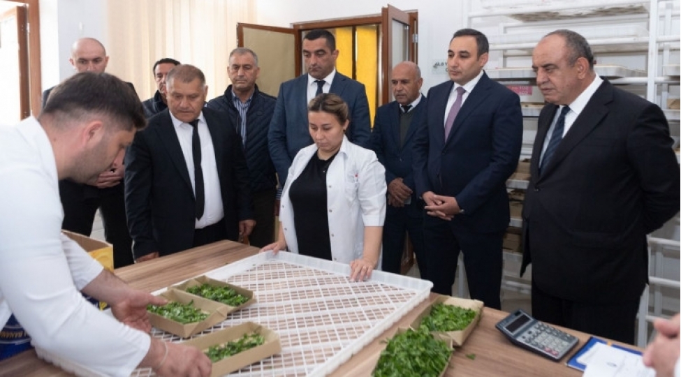 azerbaycanda-2025-ci-il-barama-istehsali-movsumune-start-verilib