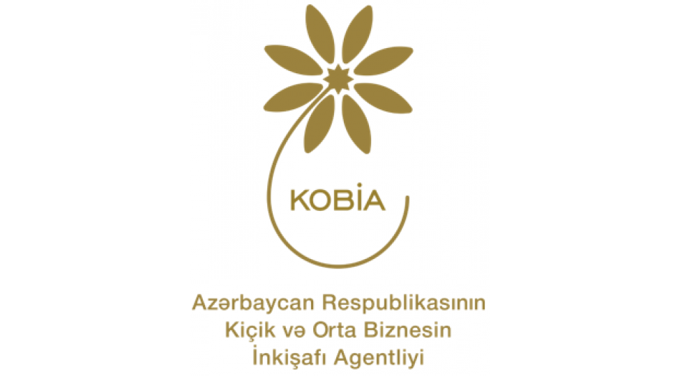 daha-4-sahibkar-innovasiya-fealiyyeti-uzre-menfeet-vergisinden-azad-edilib