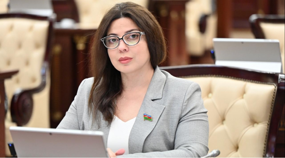 sebine-salmanova-cografi-mesafe-xalqlar-arasinda-dostlugun-ve-emekdashligin-qarshisini-ala-bilmez