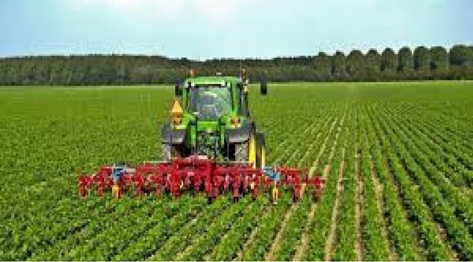 azerbaycanda-yazliq-bitkilerin-sepini-10-e-yaxin-azalib