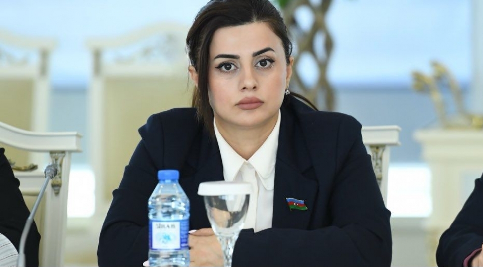 beynelxalq-huquqa-esaslanansiyasetin-davami
