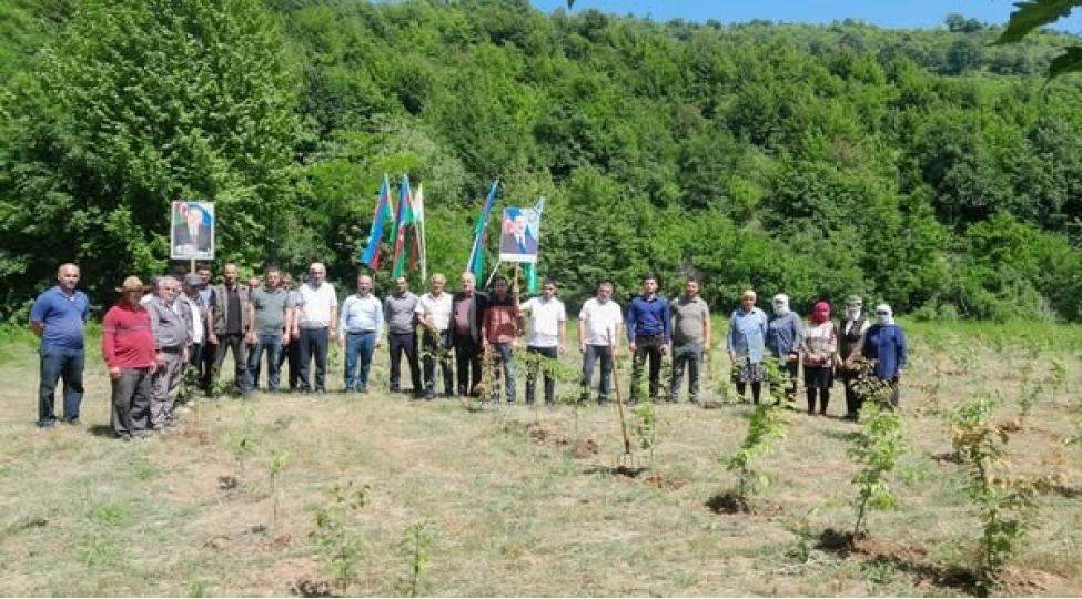 meshelere-yeni-nefes-qatanlar