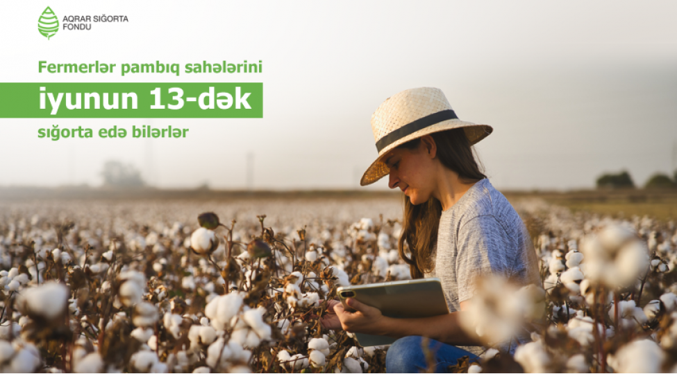 pambiq-sahelerinin-sigortasi-iyunun-13-dek-davam-edecek