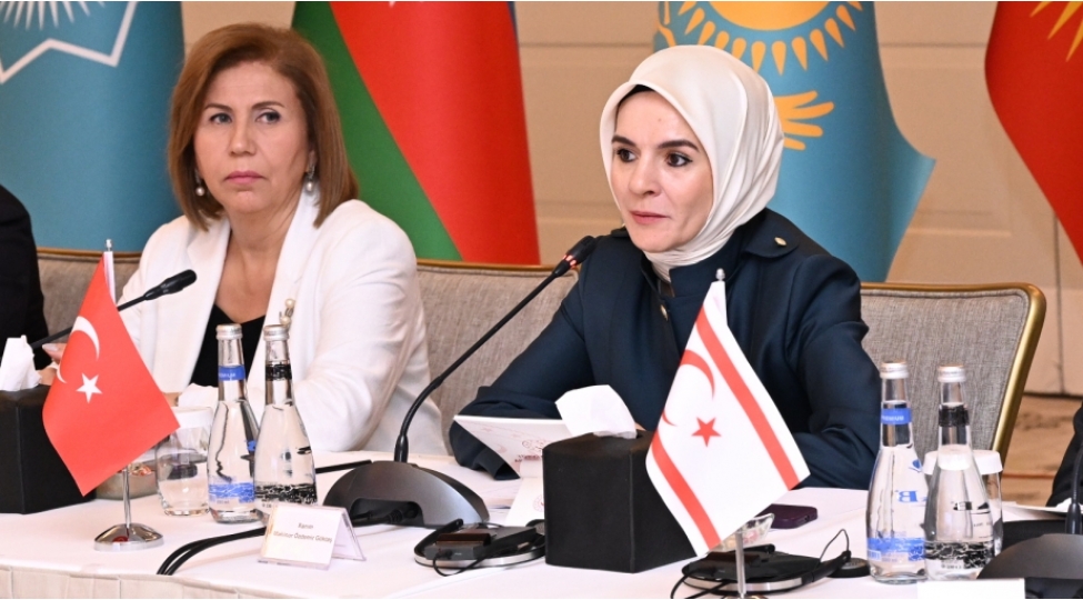 turkiyeli-nazir-orta-dehliz-tarixi-koklerimizi-birleshdiren-qedim-medeniyyet-yoludur