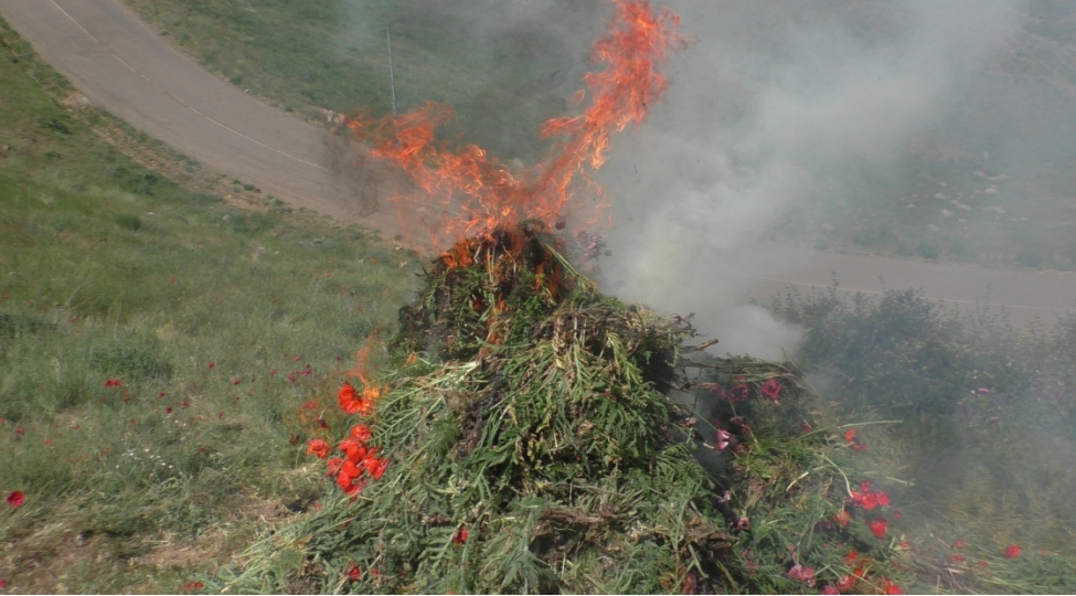 yardimlida-15-ton-xash-xash-kolu-mehv-edilib