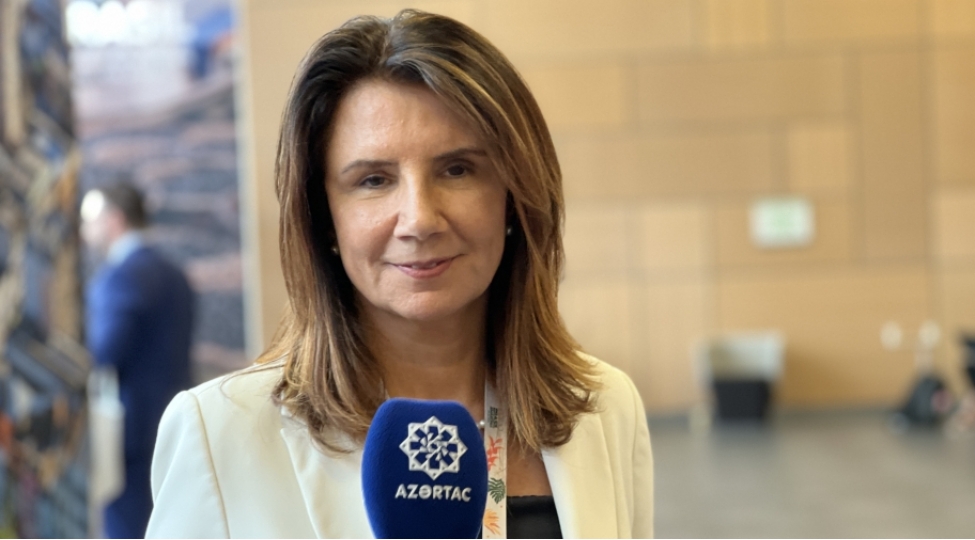 hazirda-biz-azerbaycandan-oyrenerek-beleme-hazirliq-goruruk-cop30-un-icrachi-direktoru