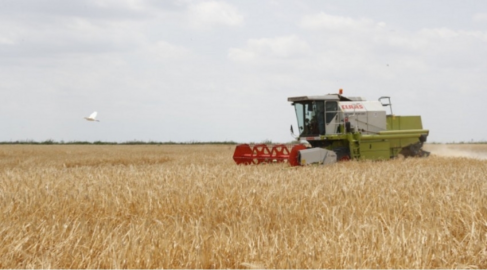 arpa-sahelerinin-43-e-yaxininda-bichin-basha-chatib