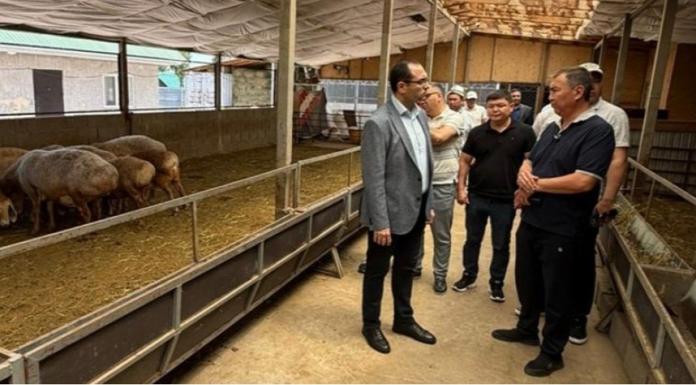kend-teserrufati-naziri-qirgizistanda-heyvandarliq-ve-baliqchiliq-teserrufatlari-ile-tanish-olub