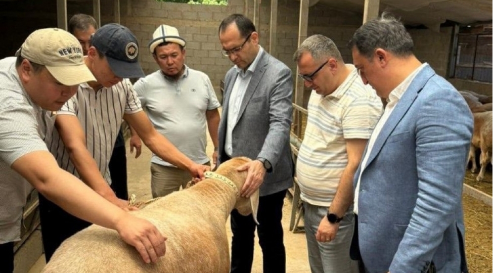 mecnun-memmedov-qirgiz-respublikasina-resmi-seferdedir