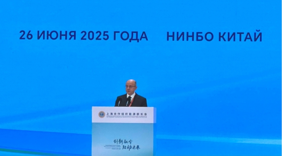 perviz-shahbazov-chinde-shet-in-energetika-nazirlerinin-iclasinda-ishtirak-edib