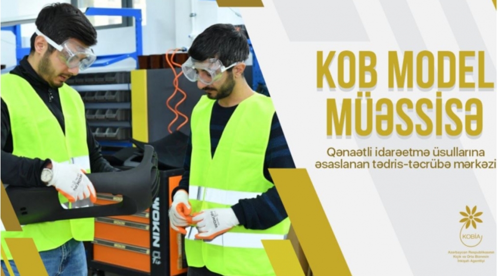 azerbaycanda-istehsalla-meshgul-olan-kob-lara-telimler-kechirilecek