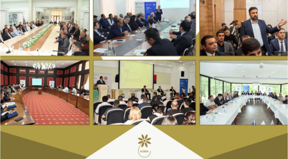 ilin-i-yarisinda-sahibkarlarla-70-e-yaxin-gorush-kechirilib