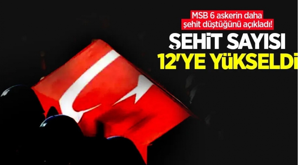 iraqin-shimalinda-shehid-olan-turk-herbchilerin-sayi-12-ye-chatib