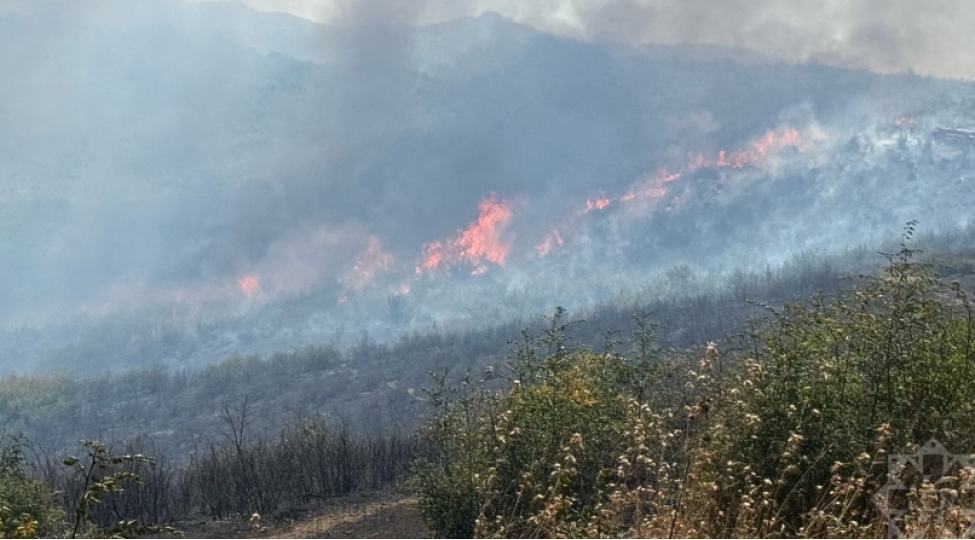 celilabadda-meshe-erazisine-kechen-yangin-lokallashdirilib-foto