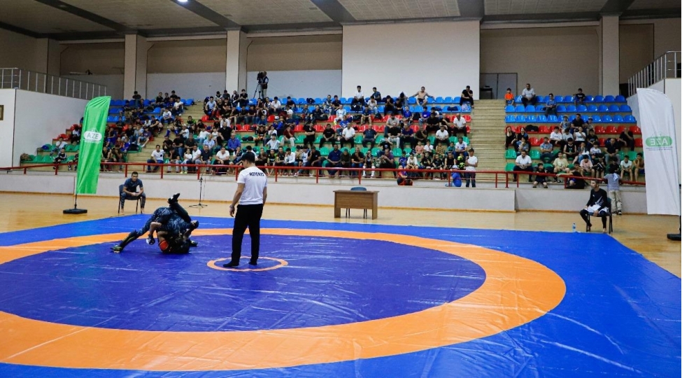 naxchivanda-mma-uzre-achiq-birincilik-kechirilib