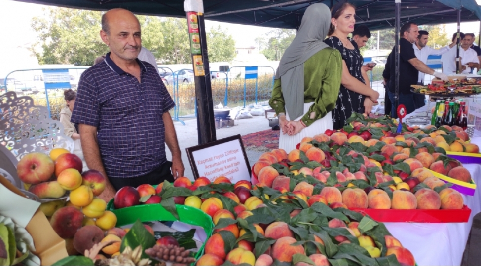 xachmazda-aqrar-biznes-ve-shaftali-festivali-kechirilib