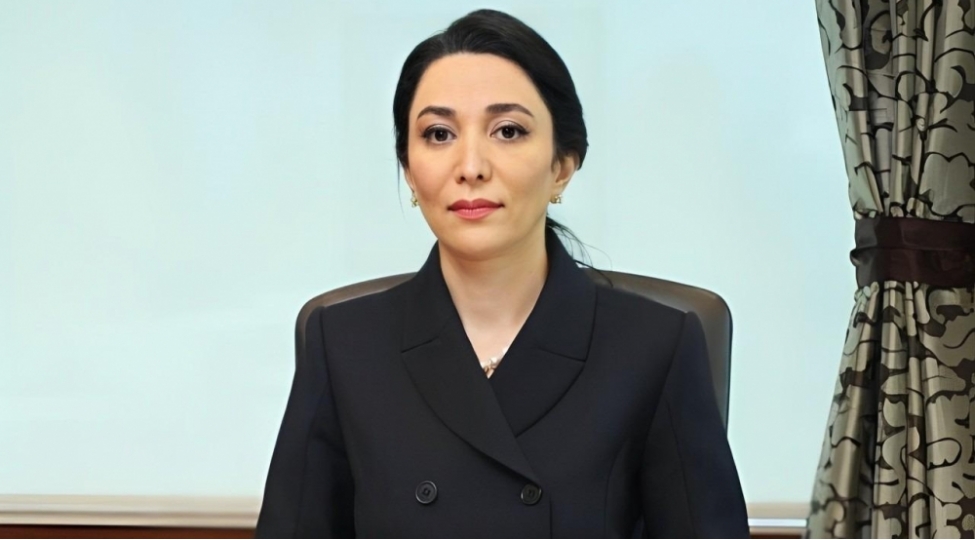 ombudsman-amnesty-international-resmisinin-vardanyanla-bagli-beyanatina-munasibet-bildirib