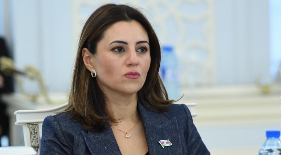 azerbaycanla-serbiya-arasinda-munasibetler-strateji-terefdashliq-formatina-kechib