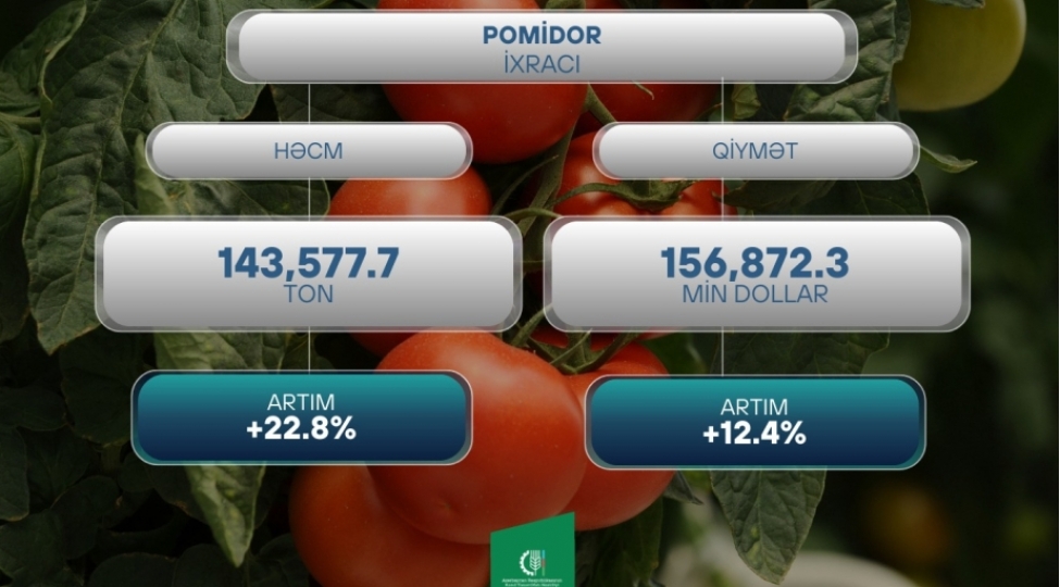 azerbaycandan-xarici-bazarlara-pomidor-ixraci-228-faiz-artib