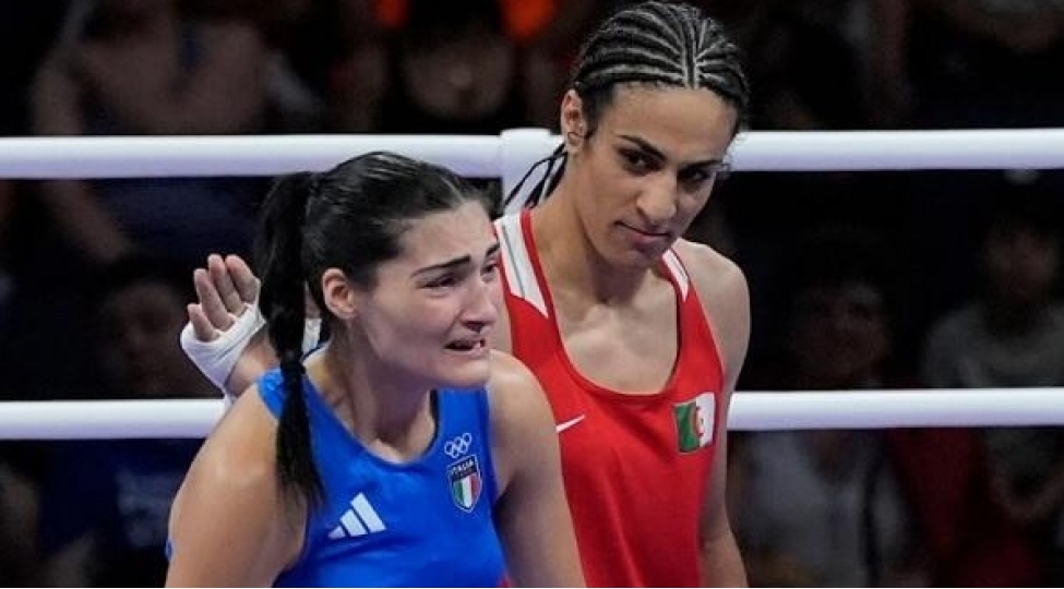 bu-yalan-melumatdir-hemin-bokschudan-achiqlama