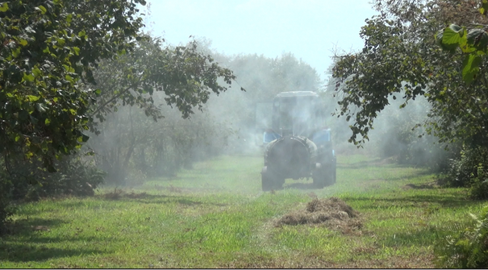 balakende-amerika-ag-kepeneyine-qarshi-mubarize-tedbirleri-guclendirilib