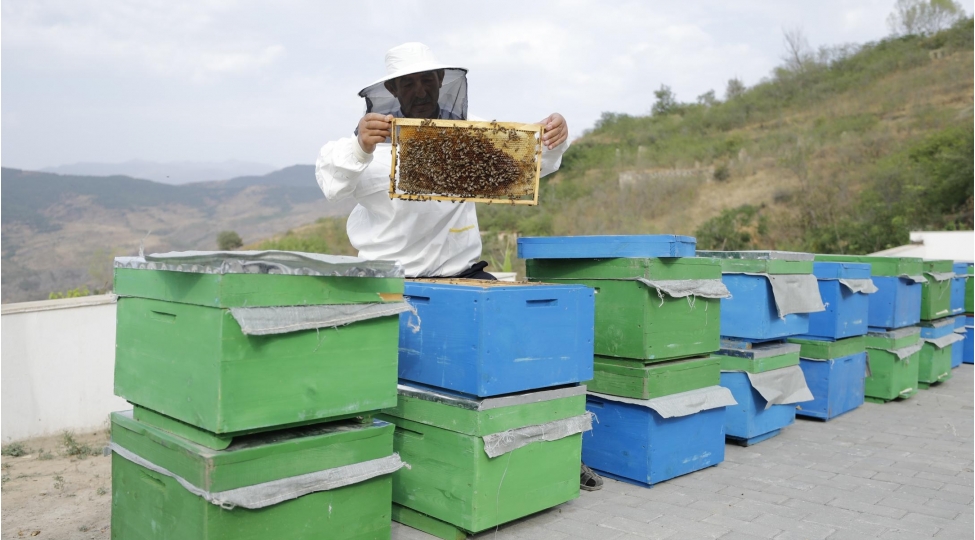 son-bir-ayda-ozunumeshgulluq-proqraminin-desteyi-ile-2-mindenchox-shexs-uchun-kichik-teserrufatlar-yaradilib