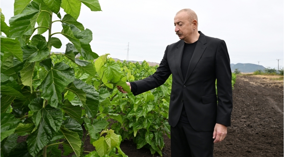 prezident-ilham-eliyev-xocalinin-dashbulaq-kendinde-tut-baginda-gorulmush-ishlerle-tanish-olub