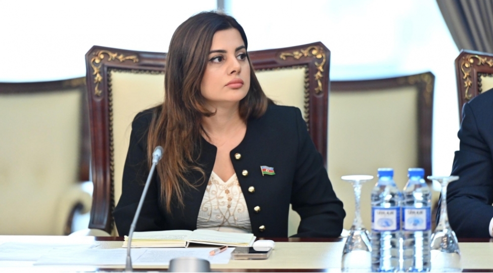 azerbaycanslovakiya-strateji-emekdashligi-avropanin-enerji-xeritesini-guclendiren-muhum-elemente-chevrilir