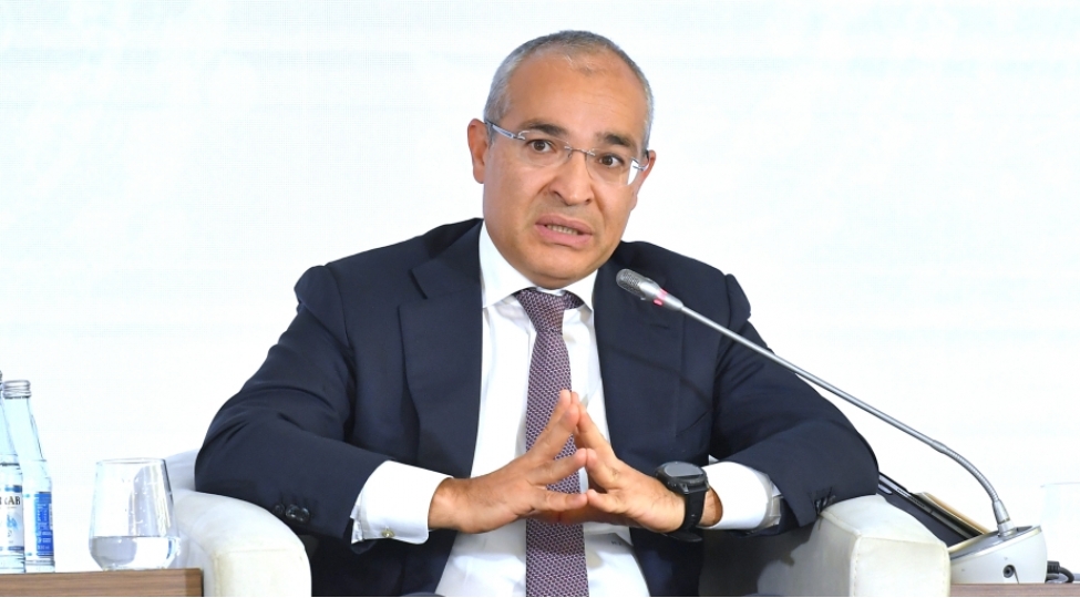 nazir-italiya-azerbaycanin-esas-ticaret-ve-iqtisadi-terefdashidir
