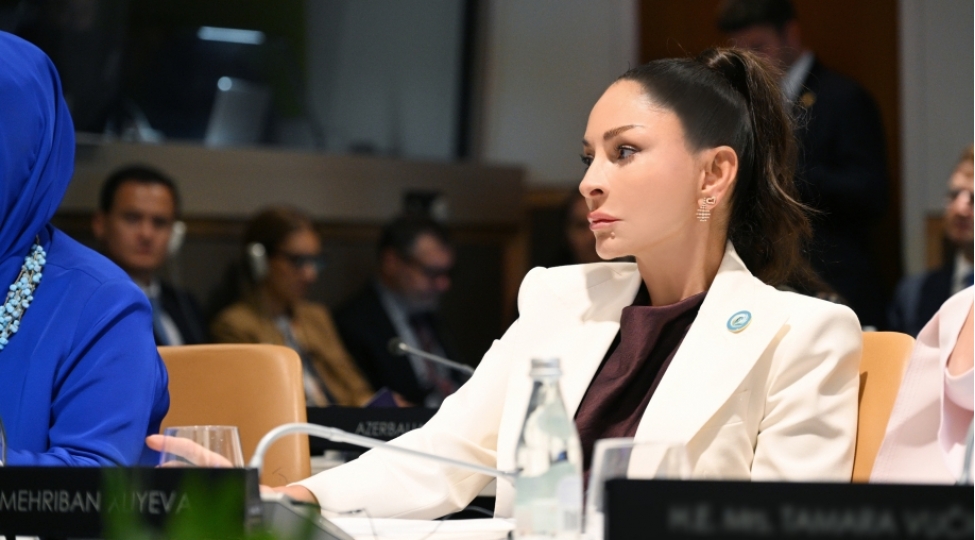 birinci-xanim-mehriban-eliyeva-bmt-bash-assambleyasi-cherchivesinde-xususi-sessiyada-ishtirak-edib