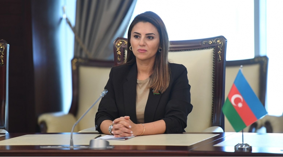 yeni-azerbaycan-partiyasi-bundan-sonra-da-qelebeler-partiyasi-statusunu-qoruyacaq